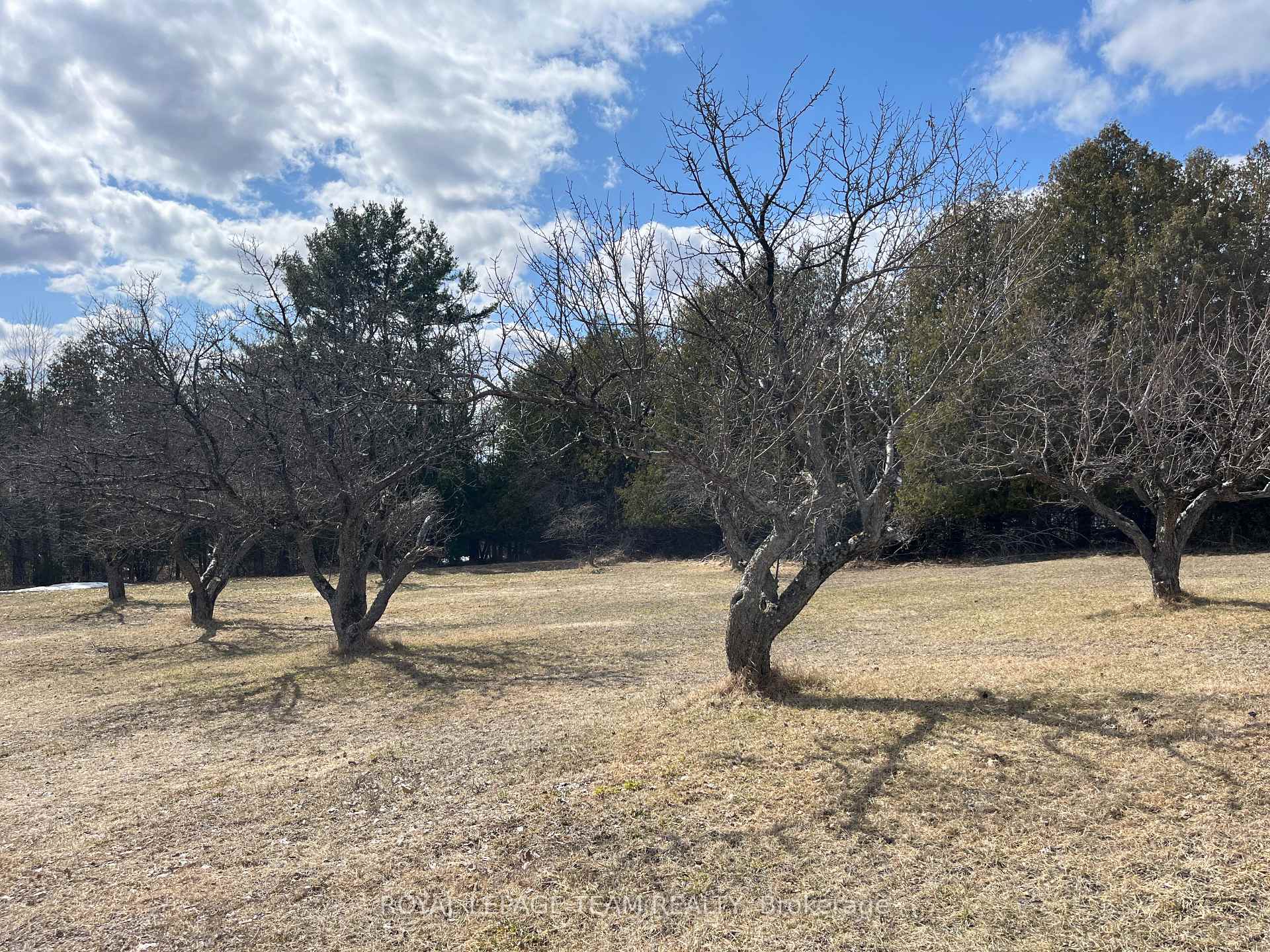 Photo 2 of Highland Road, McNab/Braeside, Mcnab/Braeside Twps — HOMEH