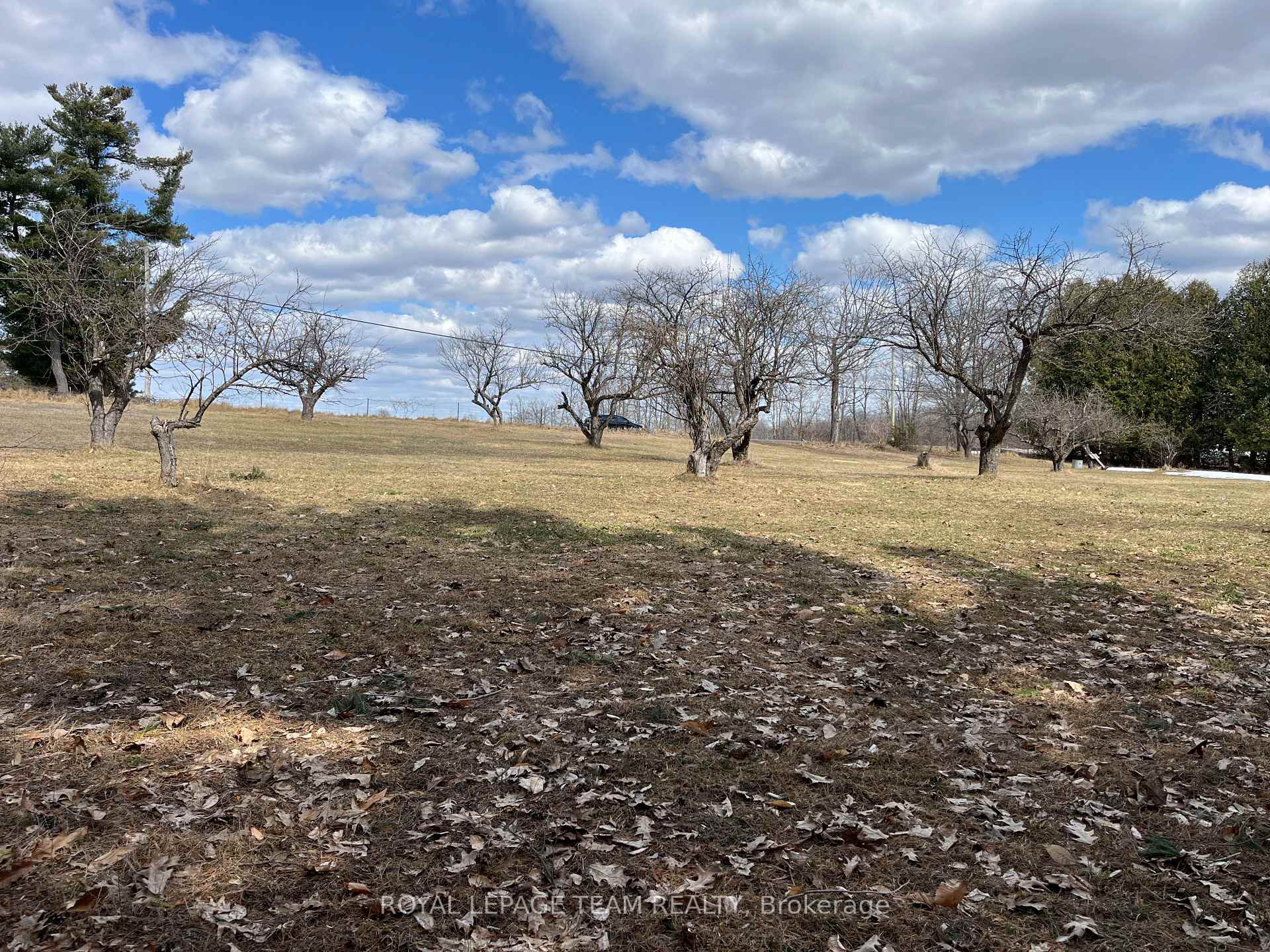 Photo 5 of Highland Road, McNab/Braeside, Mcnab/Braeside Twps — HOMEH