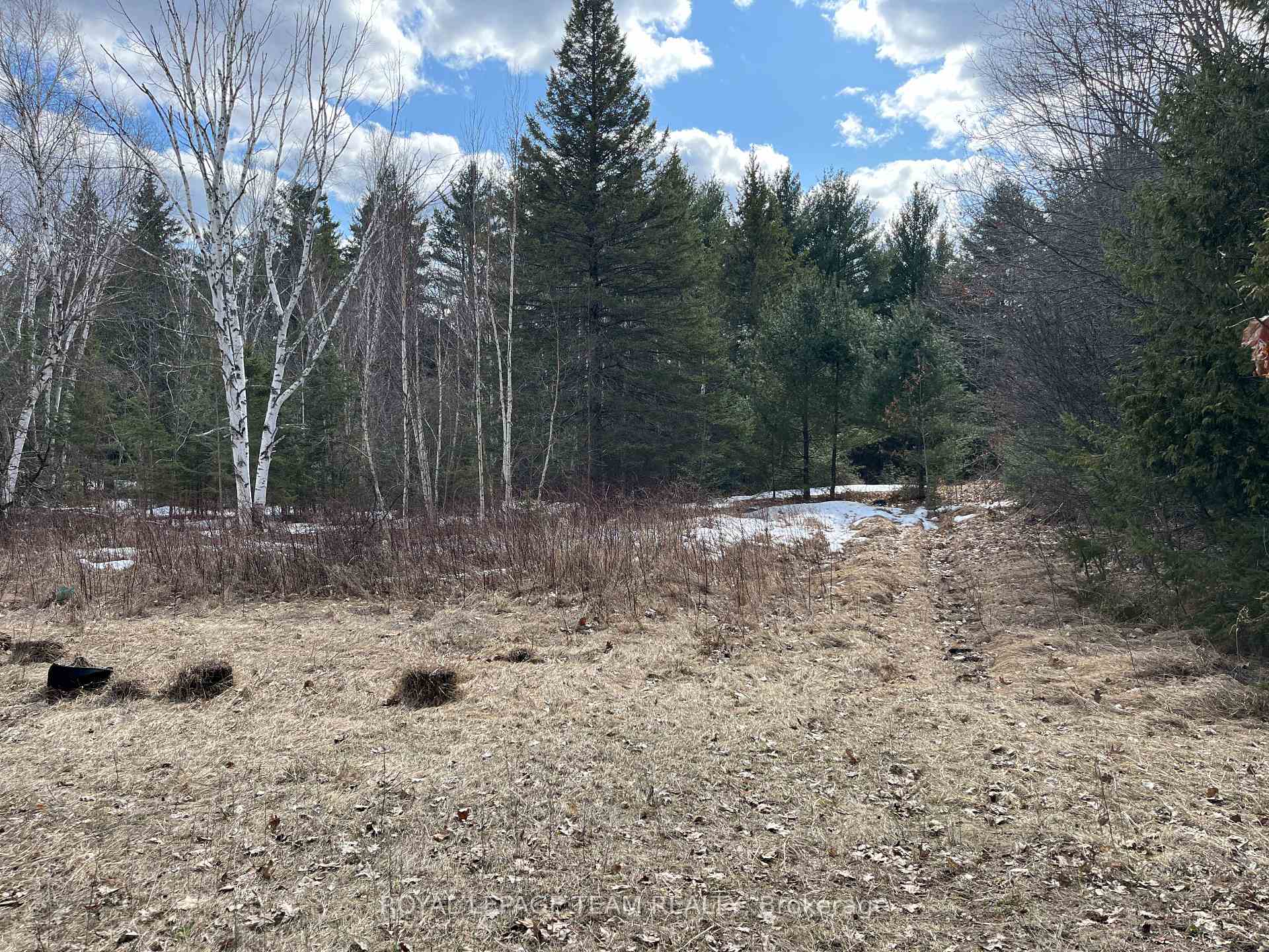 Photo 8 of Highland Road, McNab/Braeside, Mcnab/Braeside Twps — HOMEH