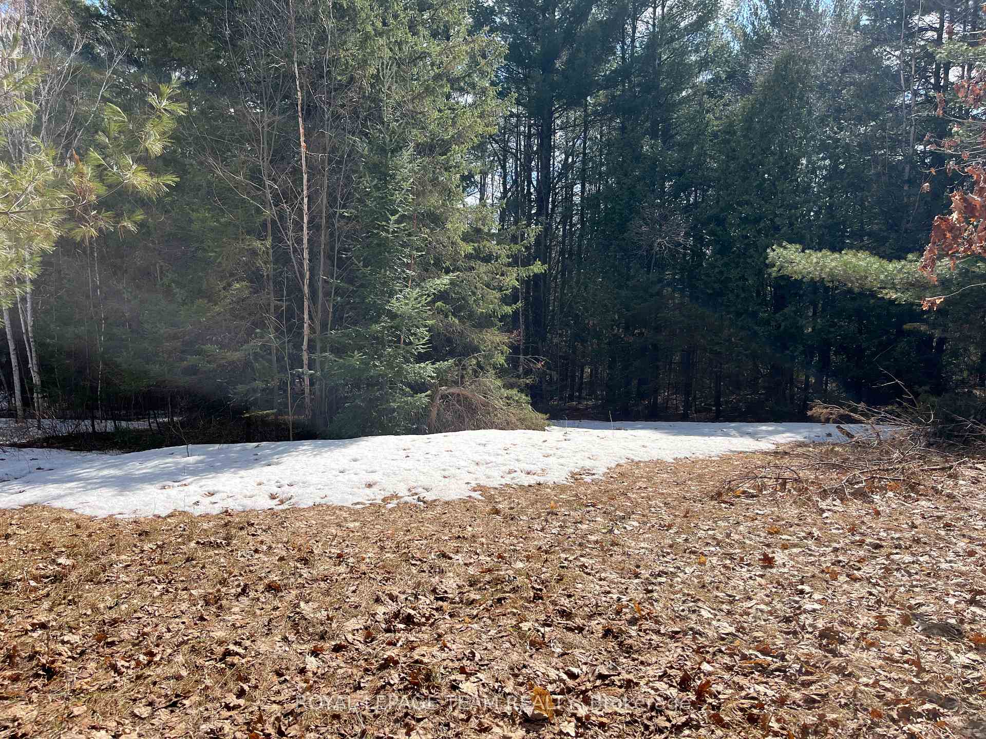 Photo 9 of Highland Road, McNab/Braeside, Mcnab/Braeside Twps — HOMEH