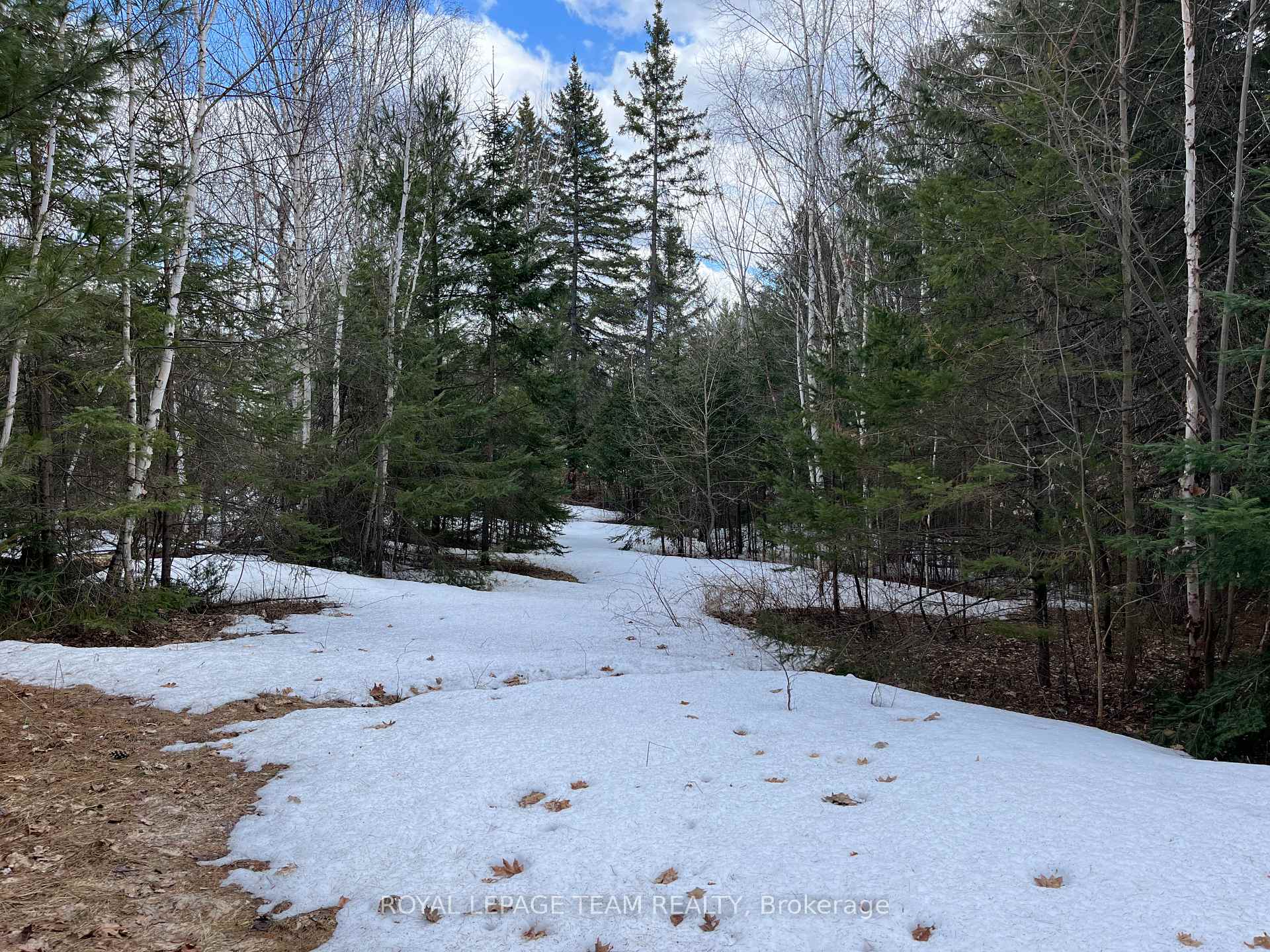 Photo 12 of Highland Road, McNab/Braeside, Mcnab/Braeside Twps — HOMEH
