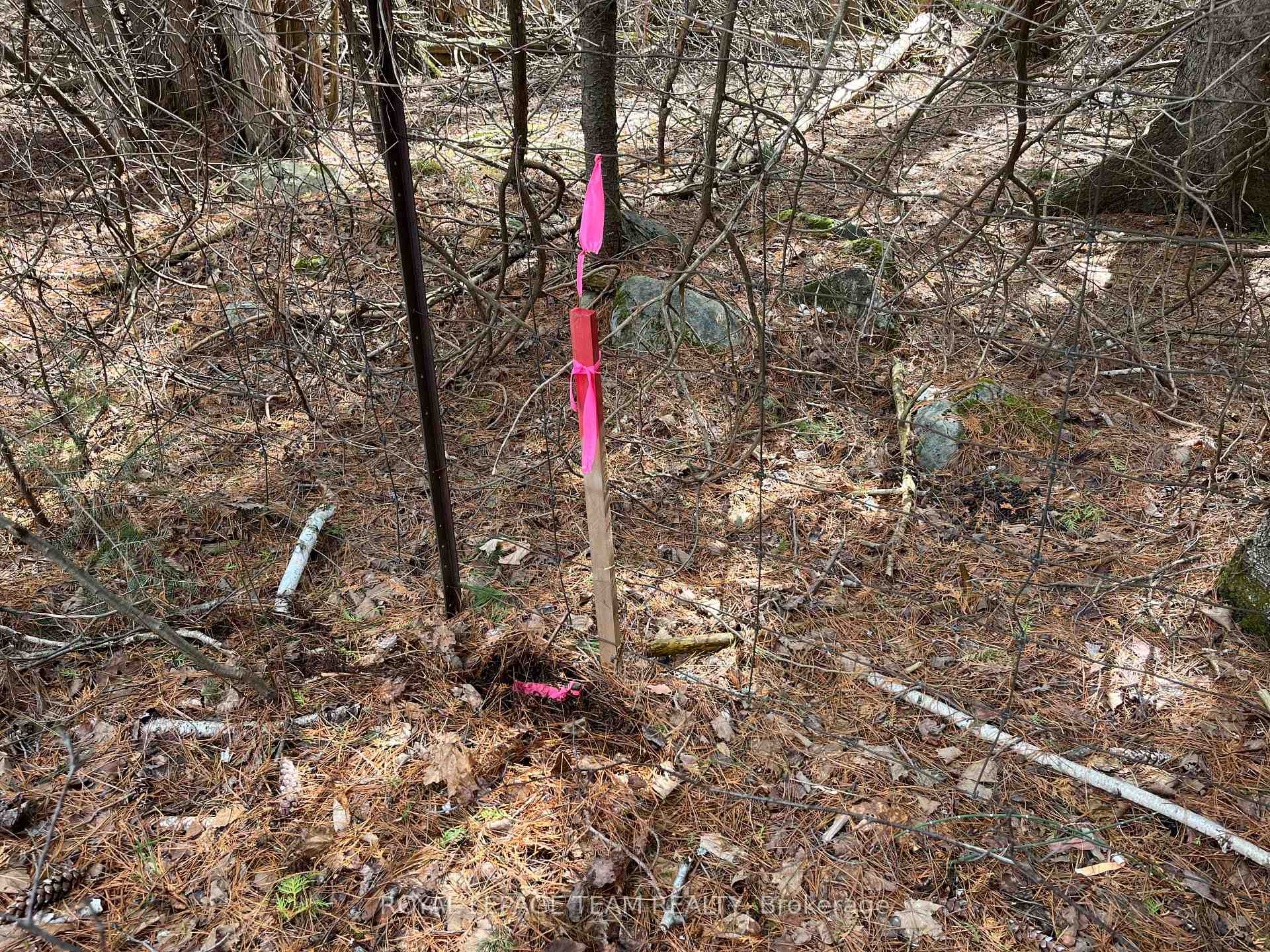 Photo 14 of Highland Road, McNab/Braeside, Mcnab/Braeside Twps — HOMEH