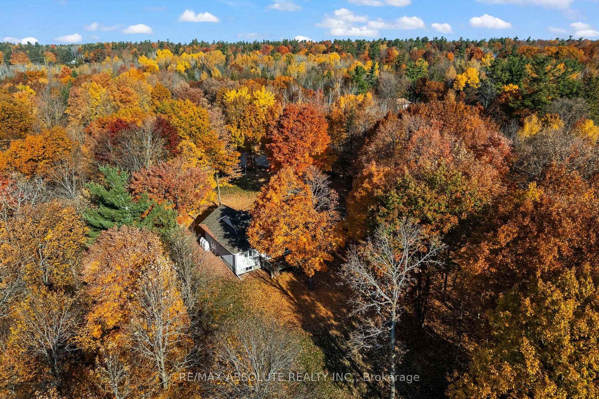 Photo 6 of 123 Woodridge Crescent, McNab/Braeside, Mcnab/Braeside Twps — HOMEH