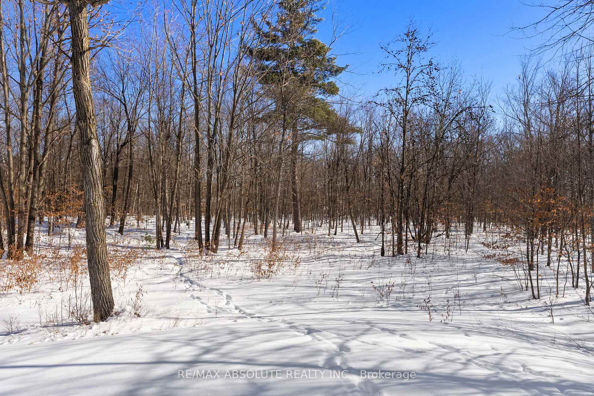 Photo 31 of 123 Woodridge Crescent, McNab/Braeside, Mcnab/Braeside Twps — HOMEH
