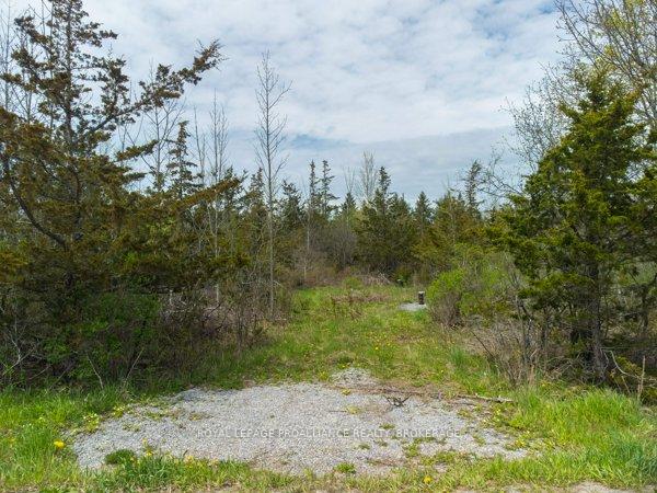 Photo 3 of 1685 Sunnyside Road, Kingston, City North of 401 — HOMEH