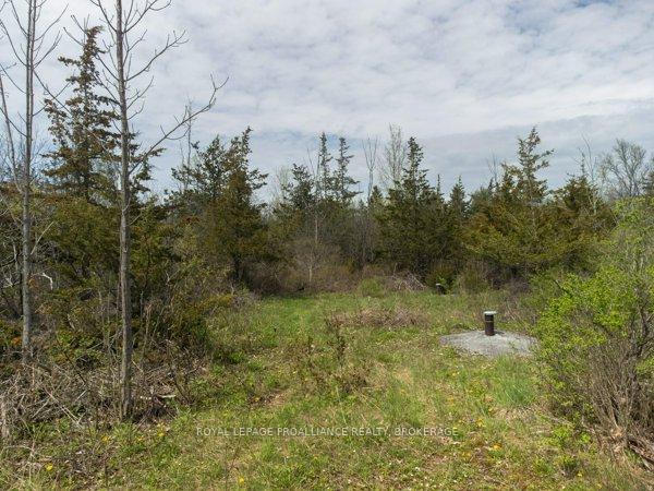 Photo 5 of 1685 Sunnyside Road, Kingston, City North of 401 — HOMEH