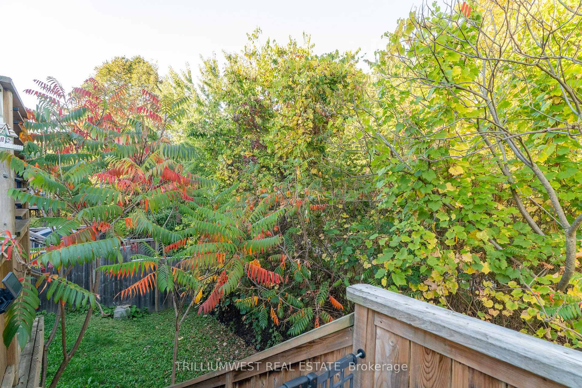 Photo 37 of 49 Meadowridge Street, Kitchener — HOMEH