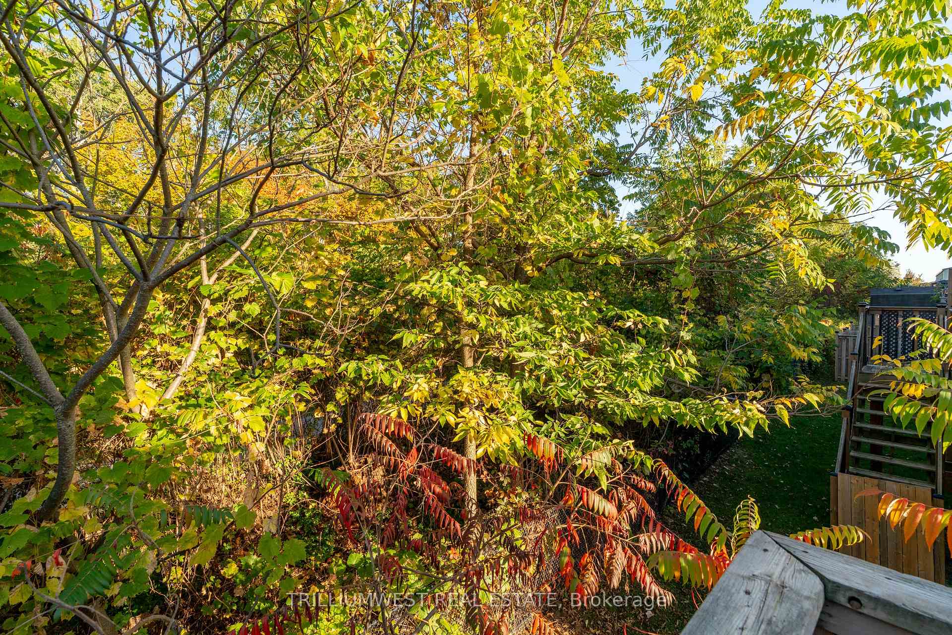 Photo 39 of 49 Meadowridge Street, Kitchener — HOMEH