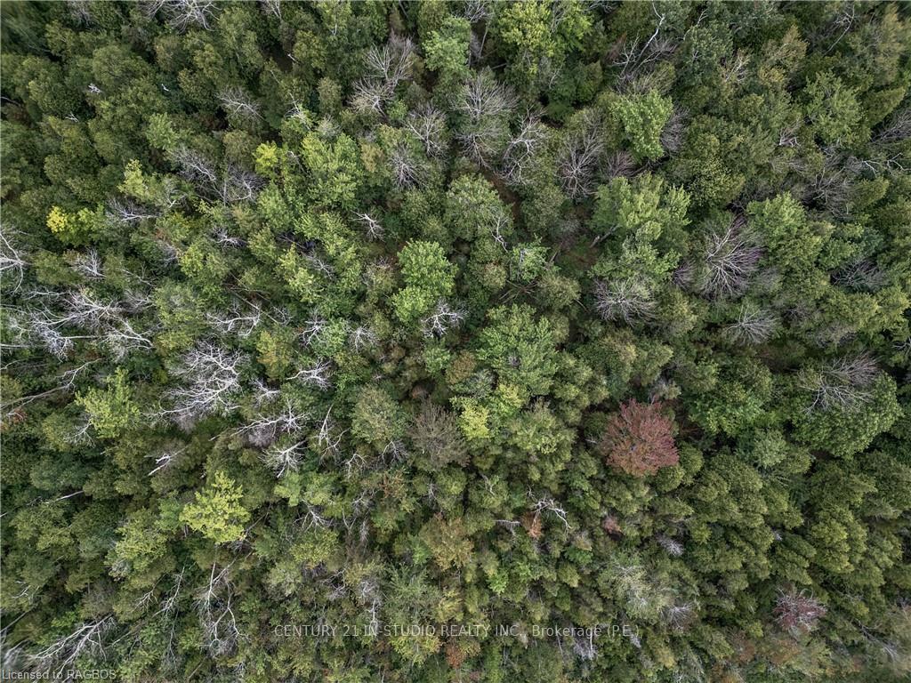 Photo 10 of PT LT 45 Sunset Drive, Kincardine — HOMEH