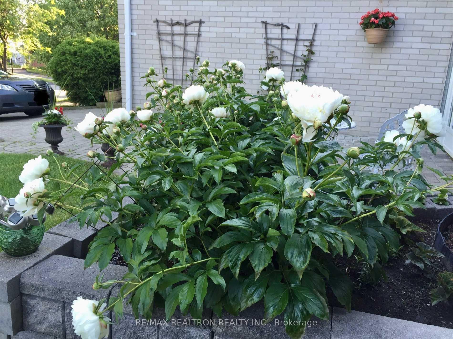 Photo 16 of 16 Aberfeldy Crescent, Markham, German Mills — HOMEH