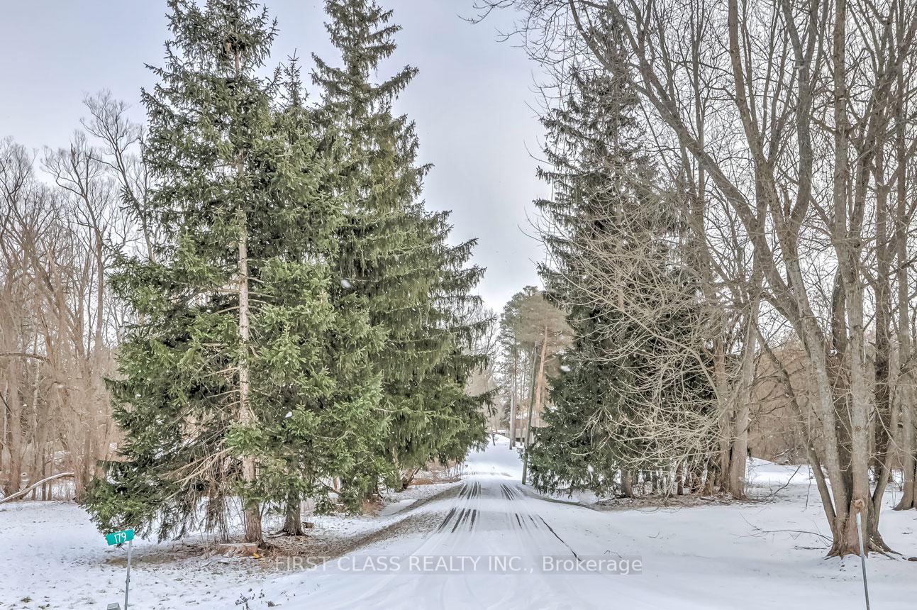 Photo 31 of 179 Martin Street, King, King City — HOMEH