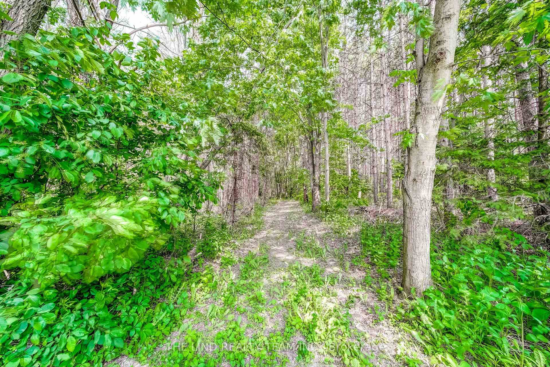 Photo 31 of 5205 10th Side Road, Innisfil, Rural Innisfil — HOMEH