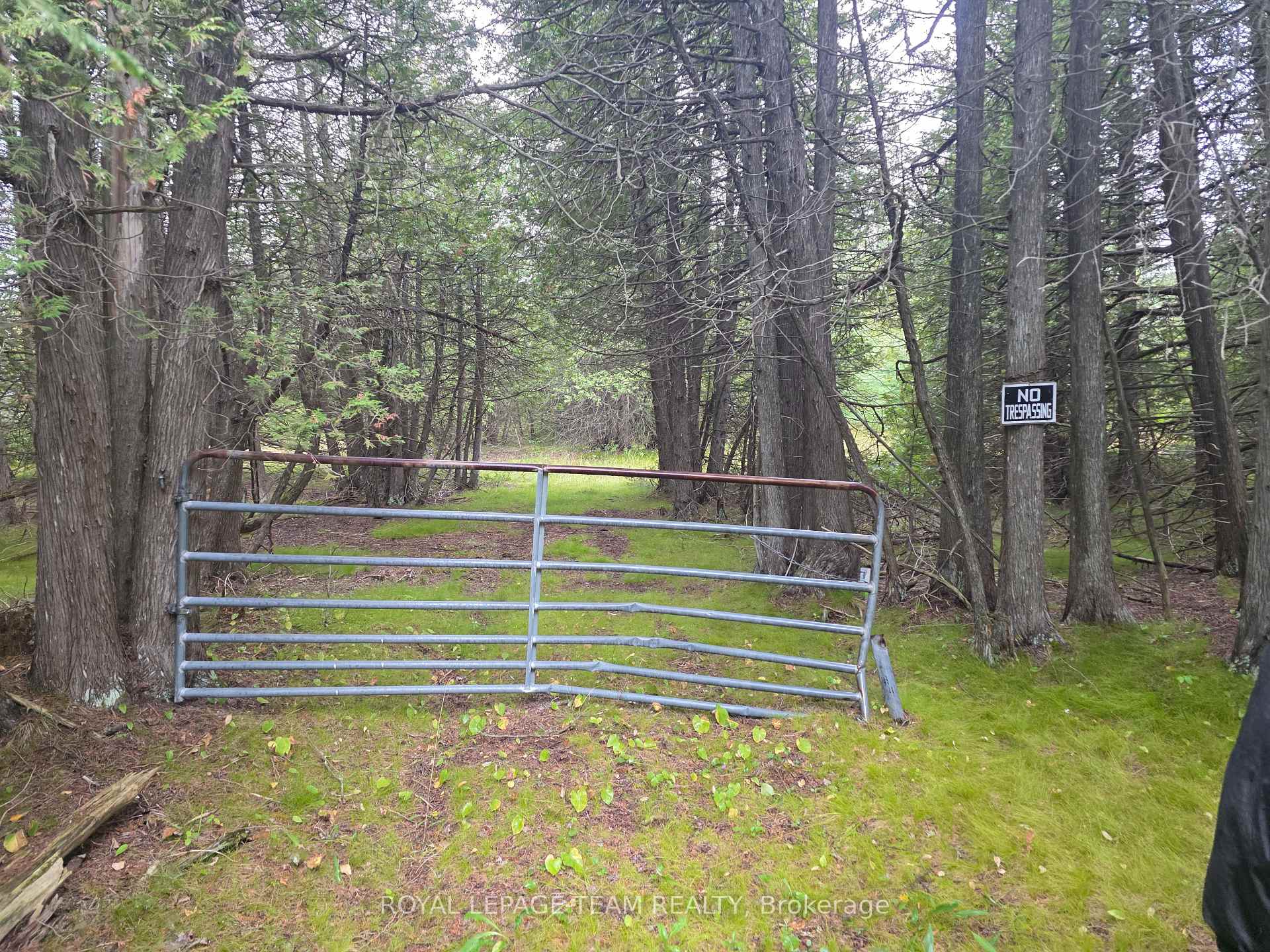 Photo 12 of 7236 A Harnett Road, Ottawa, Rideau Twp S of Reg Rd 6 W of Mccordick Rd. — HOMEH