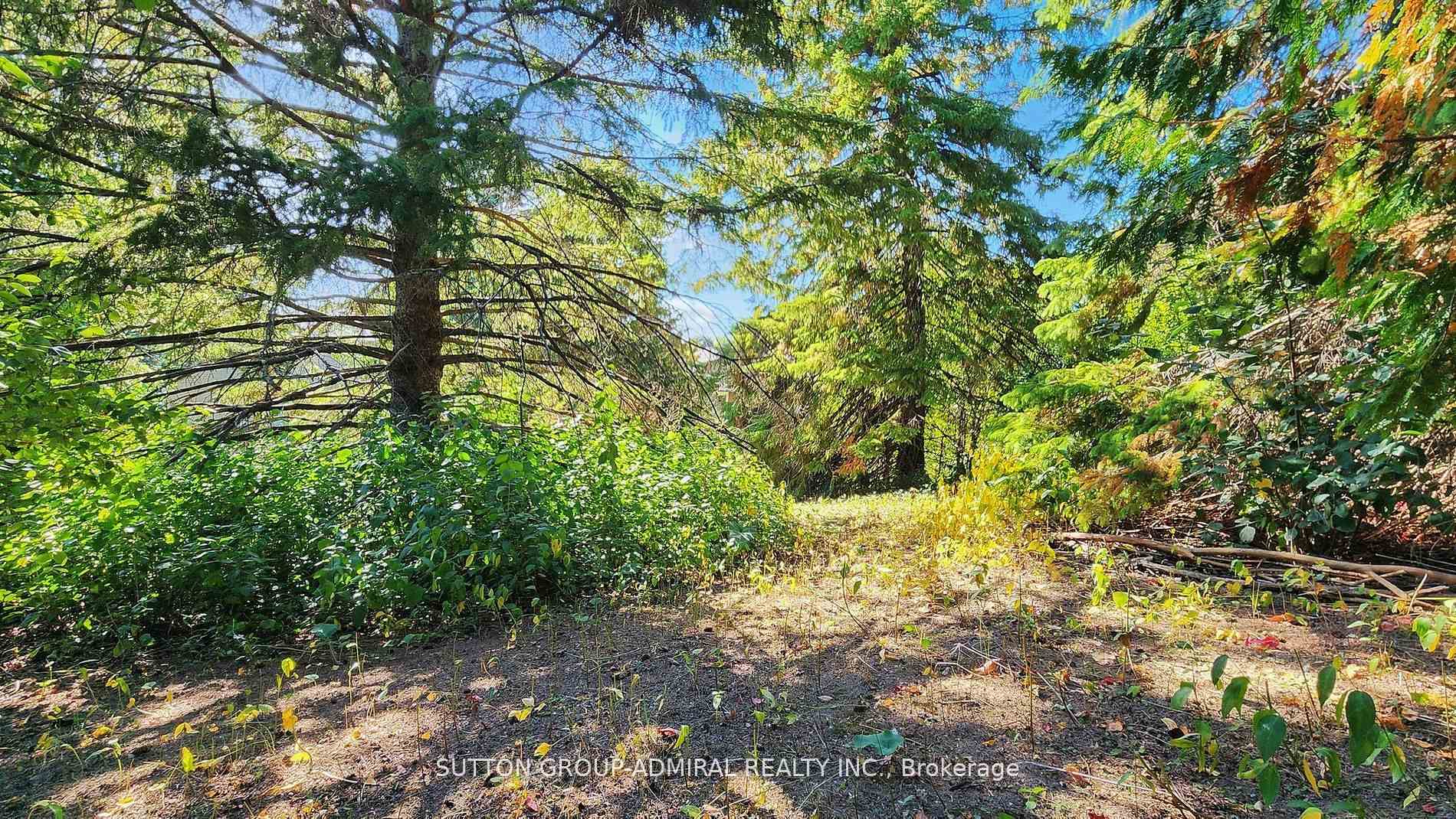 Photo 47 of 62 Shieldmark Crescent, Markham, Royal Orchard — HOMEH