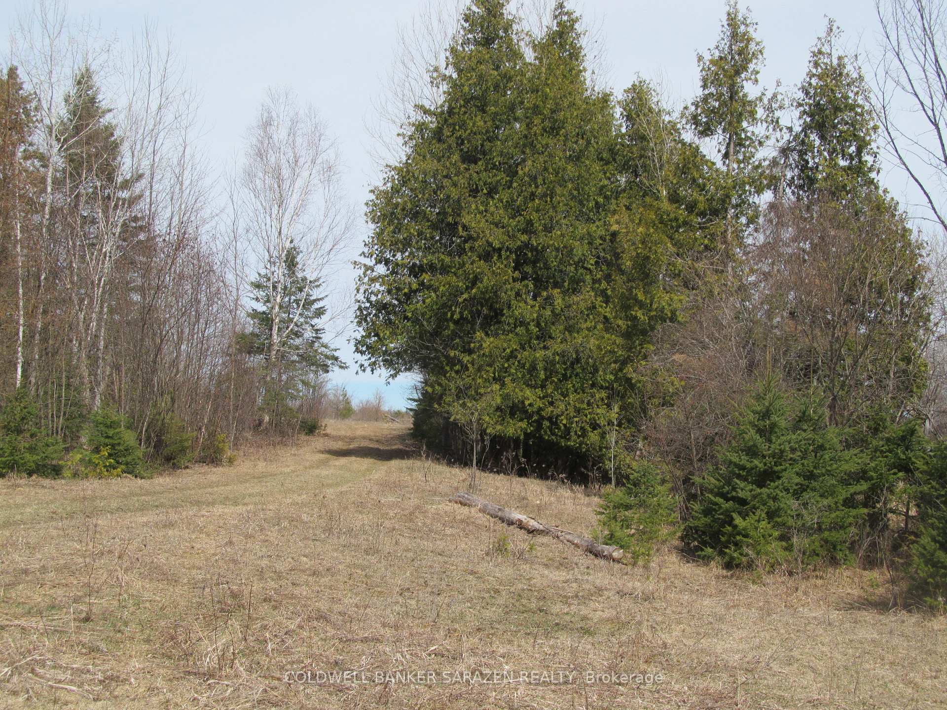 Photo 14 of 549 Kippen Road, McNab/Braeside, Mcnab/Braeside Twps — HOMEH
