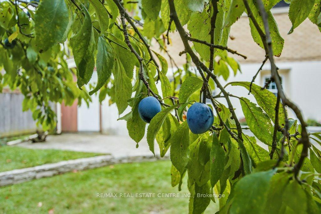 Photo 34 of 28 Meadow Crescent, Kitchener — HOMEH