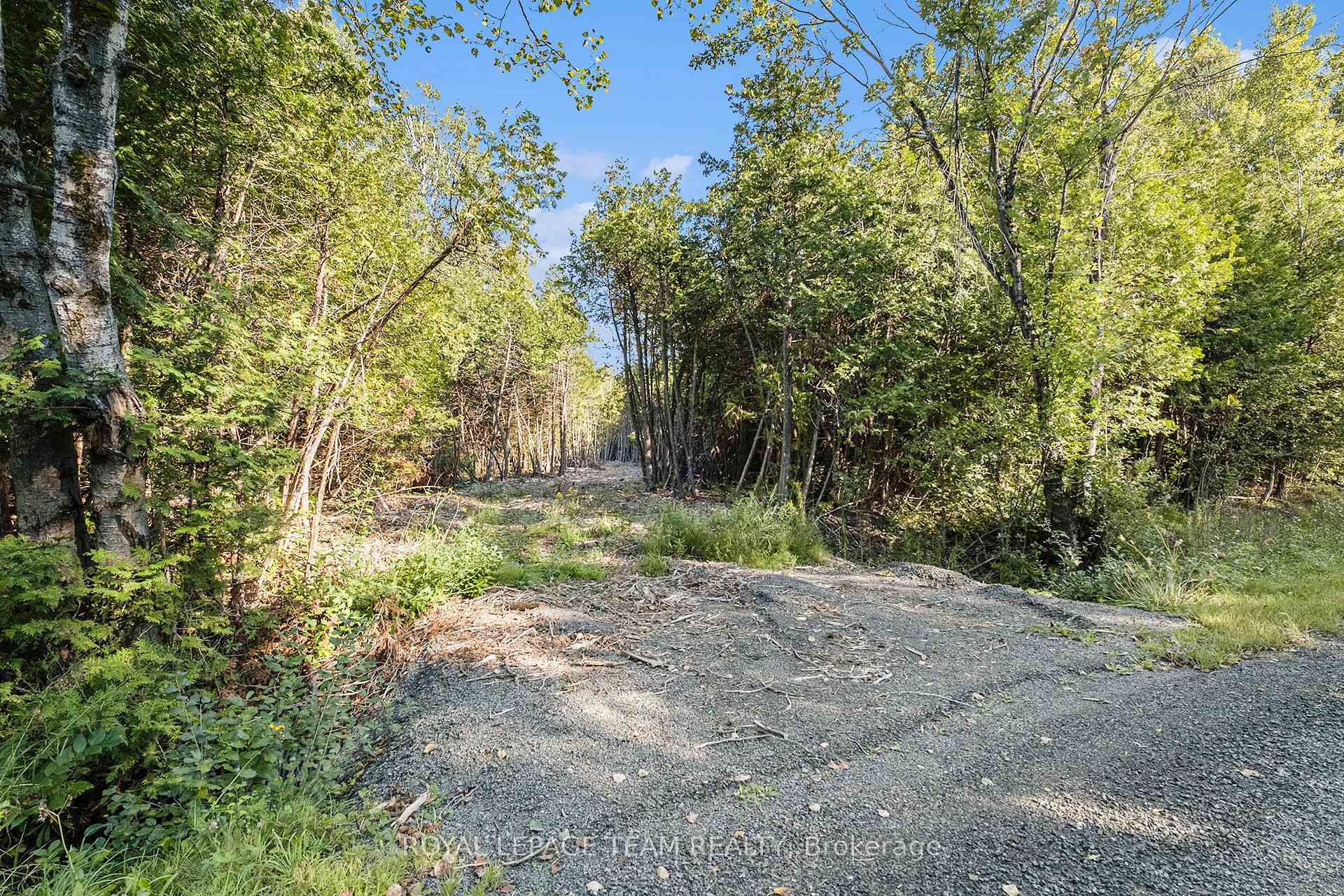 Photo 3 of Forbes Road, Lanark Highlands, Lanark Highlands (Lanark Village) — HOMEH