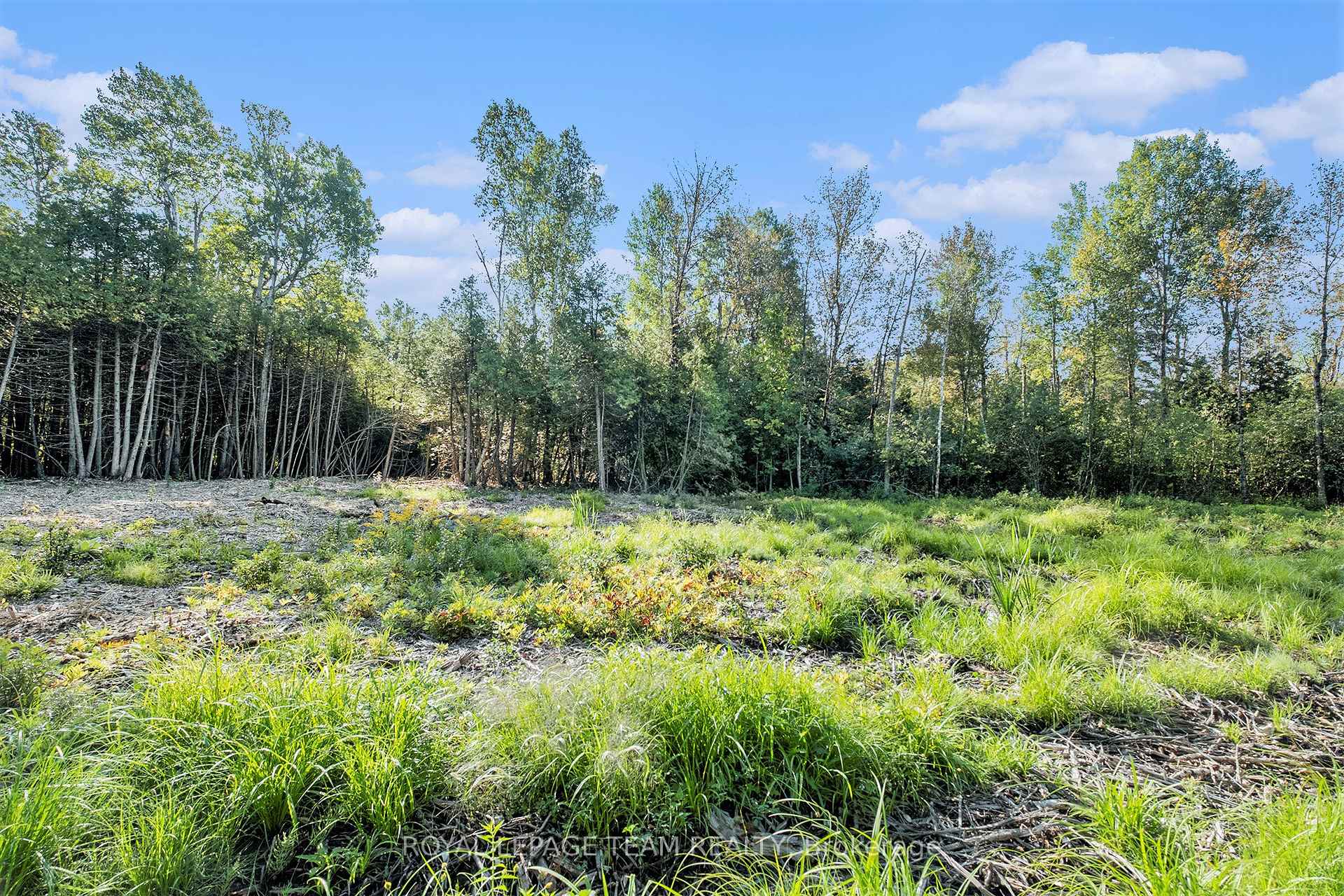 Photo 9 of Forbes Road, Lanark Highlands, Lanark Highlands (Lanark Village) — HOMEH