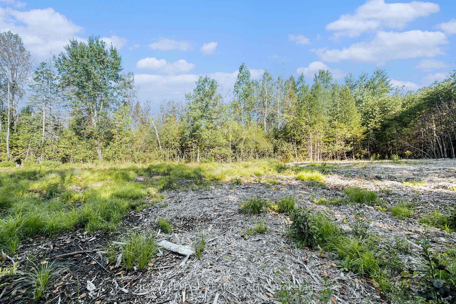 Photo 10 of Forbes Road, Lanark Highlands, Lanark Highlands (Lanark Village) — HOMEH