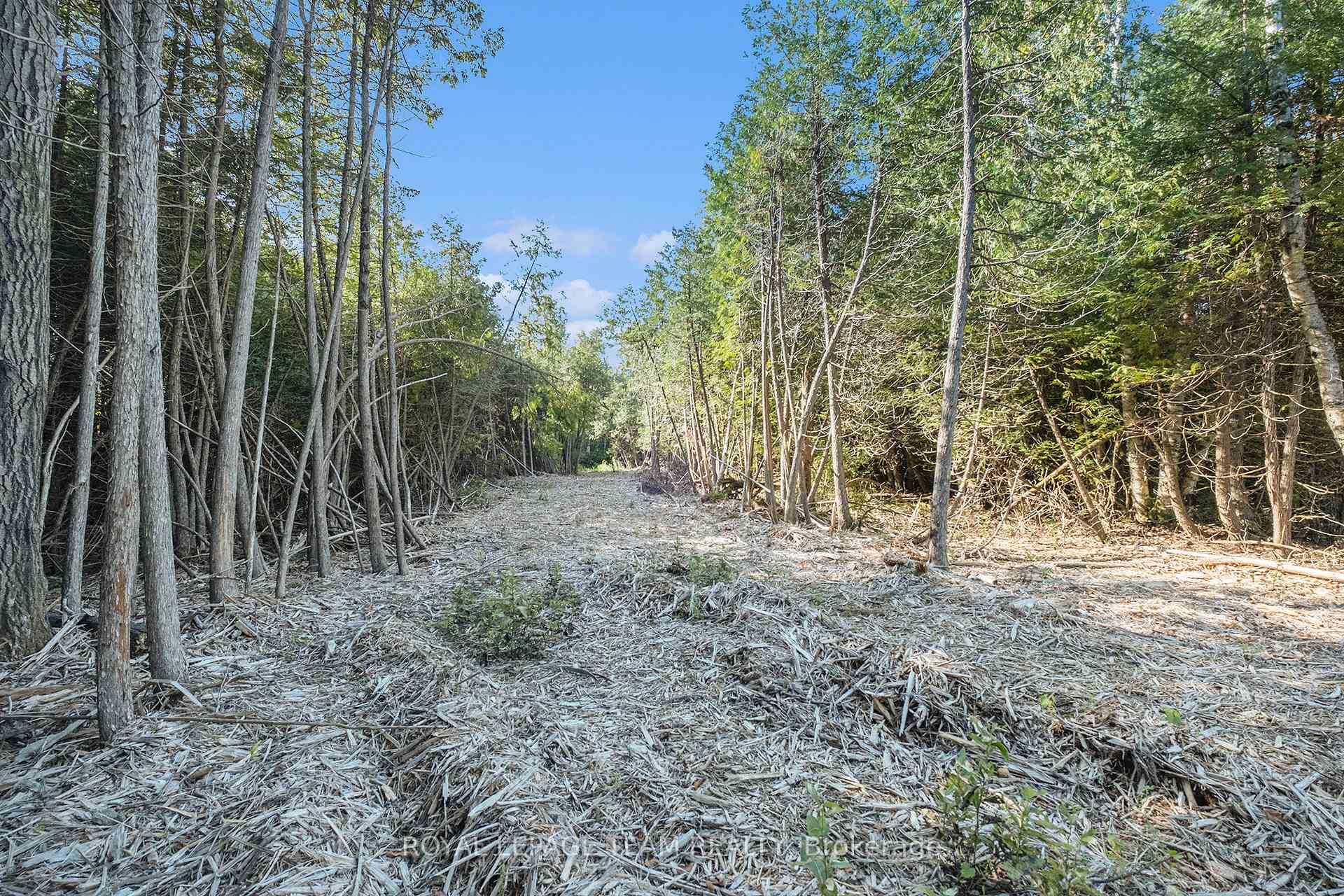 Photo 11 of Forbes Road, Lanark Highlands, Lanark Highlands (Lanark Village) — HOMEH