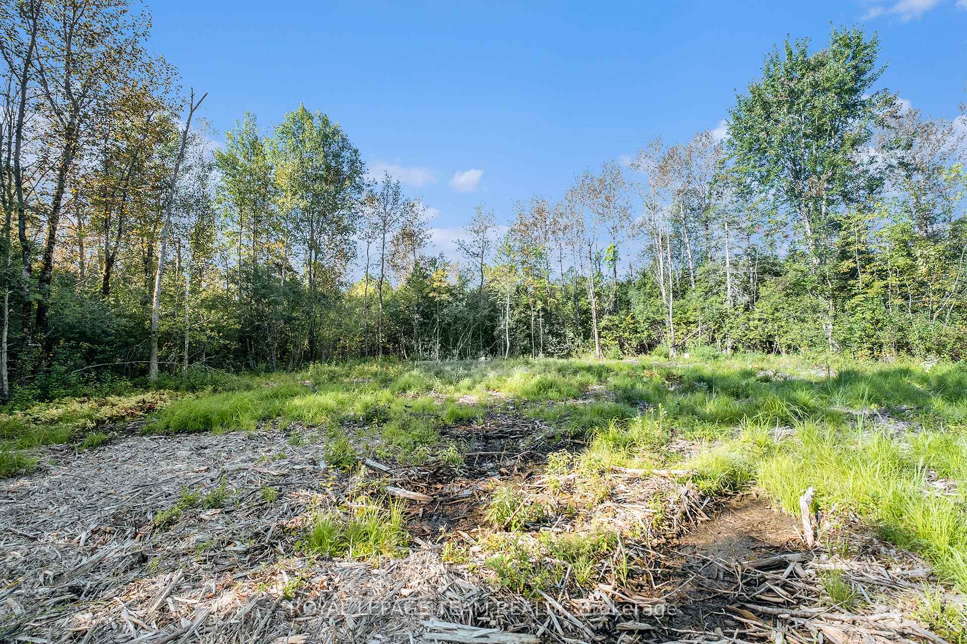 Photo 12 of Forbes Road, Lanark Highlands, Lanark Highlands (Lanark Village) — HOMEH