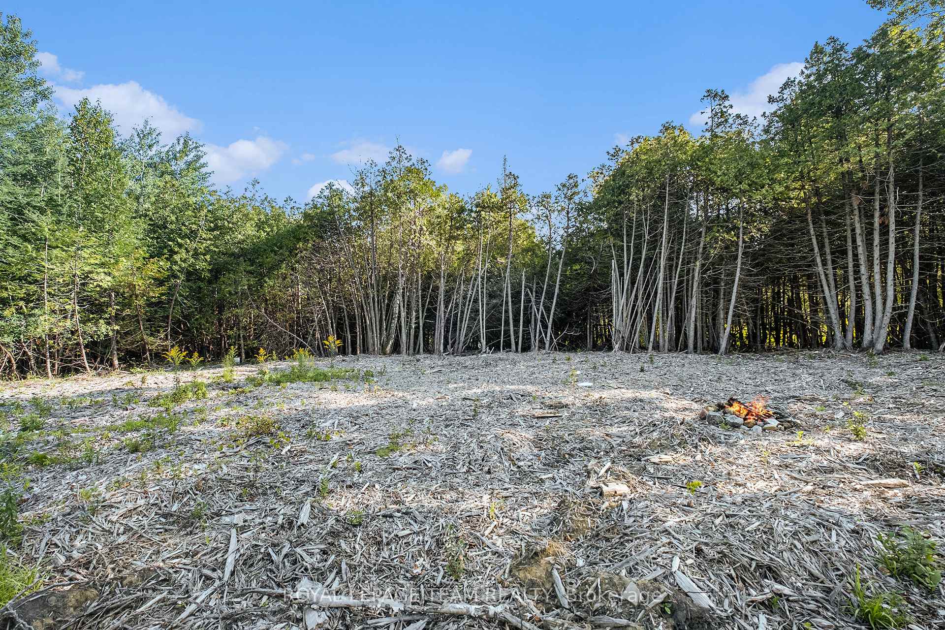 Photo 13 of Forbes Road, Lanark Highlands, Lanark Highlands (Lanark Village) — HOMEH
