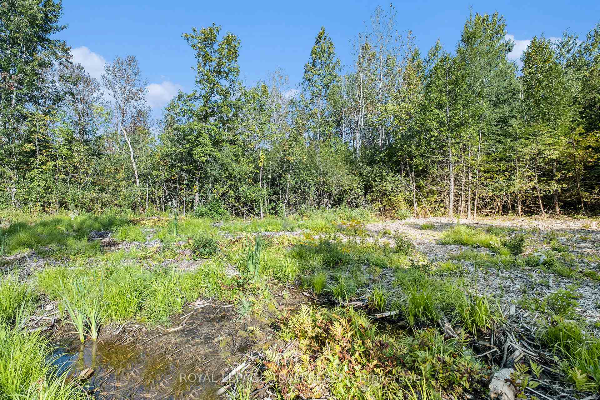 Photo 14 of Forbes Road, Lanark Highlands, Lanark Highlands (Lanark Village) — HOMEH