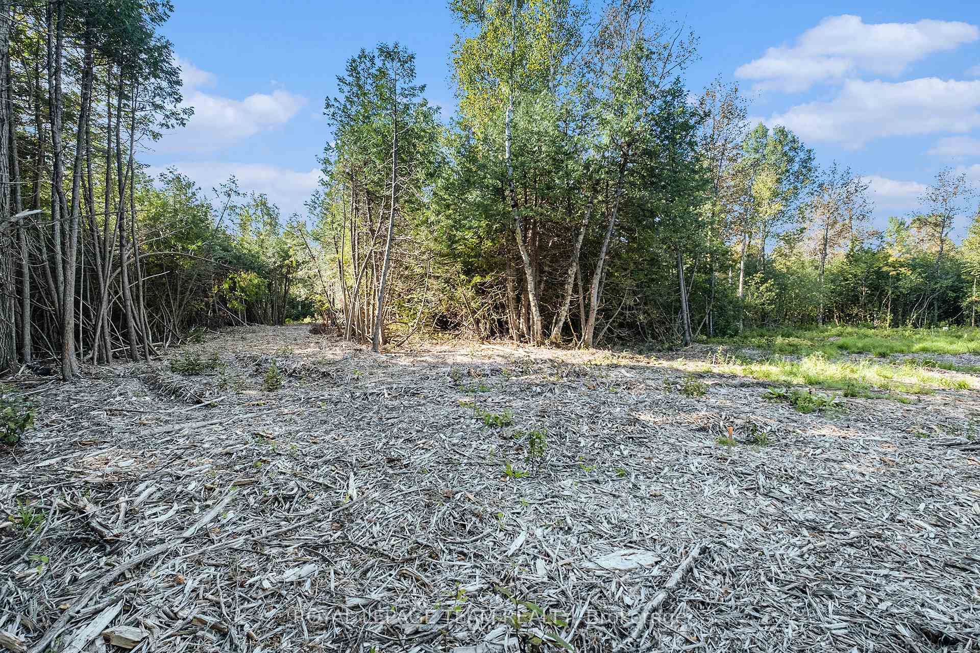Photo 16 of Forbes Road, Lanark Highlands, Lanark Highlands (Lanark Village) — HOMEH
