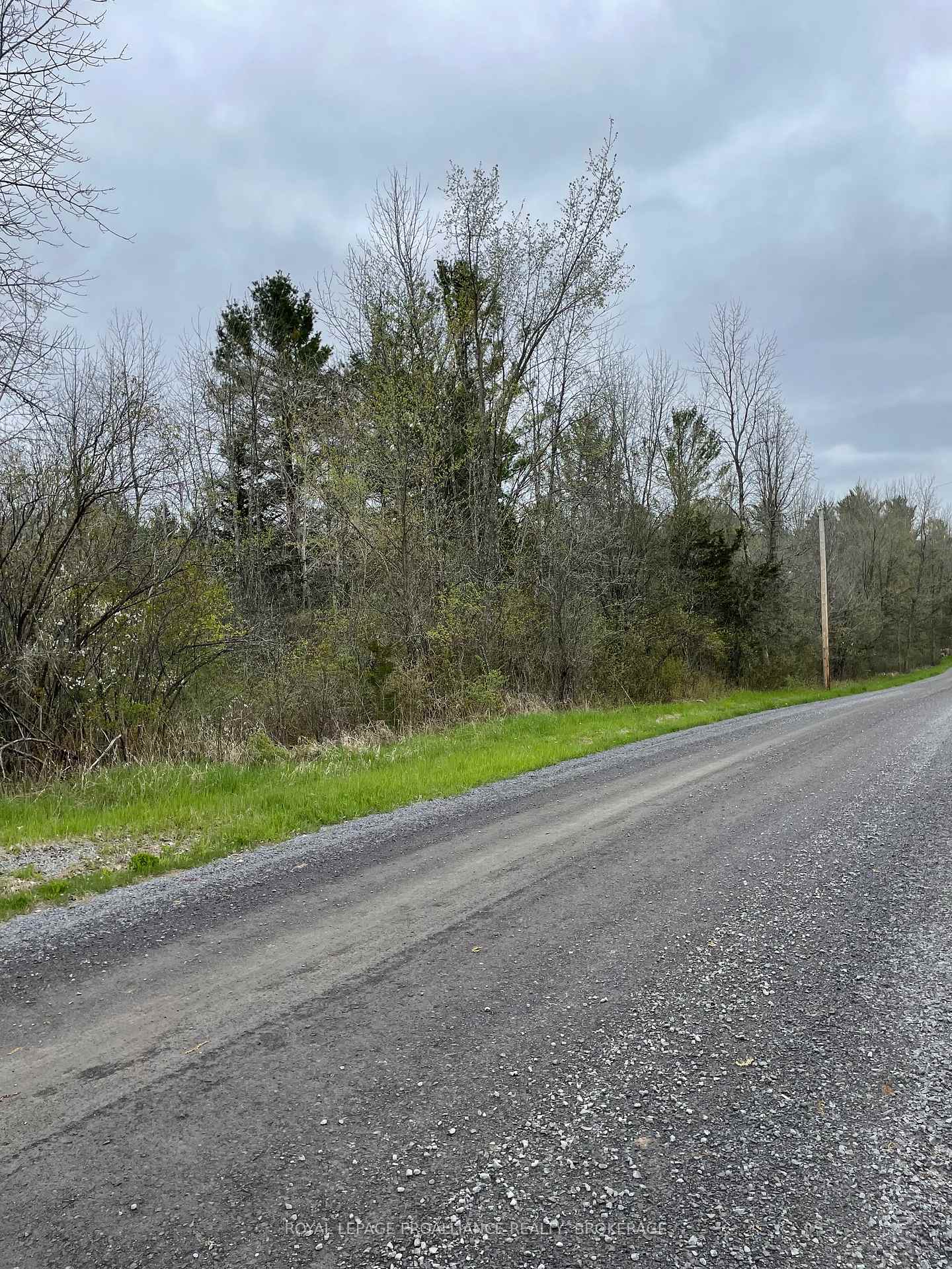 Front of Lot 1 Townline Road