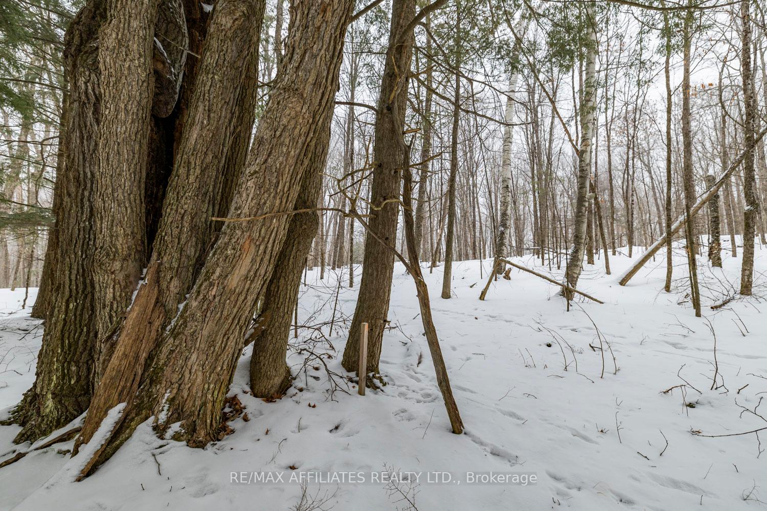Photo 3 of Hardwood Ridge Road, Lanark Highlands, Lanark Highlands (Dalhousie) Twp — HOMEH