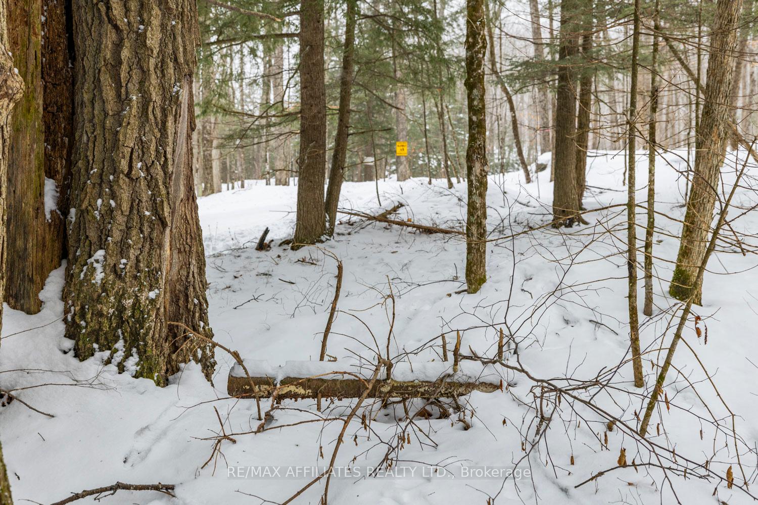 Photo 4 of Hardwood Ridge Road, Lanark Highlands, Lanark Highlands (Dalhousie) Twp — HOMEH