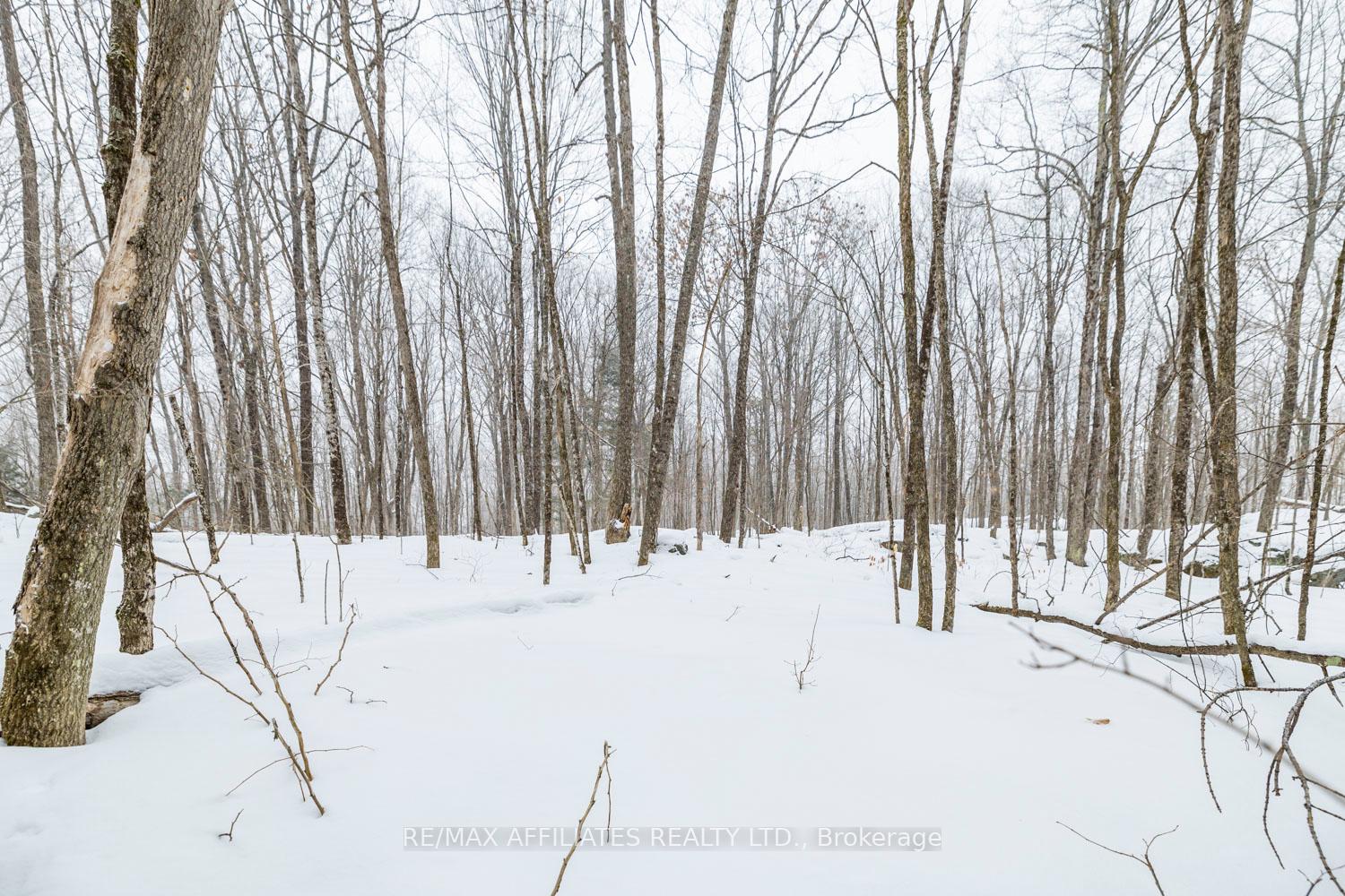 Photo 5 of Hardwood Ridge Road, Lanark Highlands, Lanark Highlands (Dalhousie) Twp — HOMEH