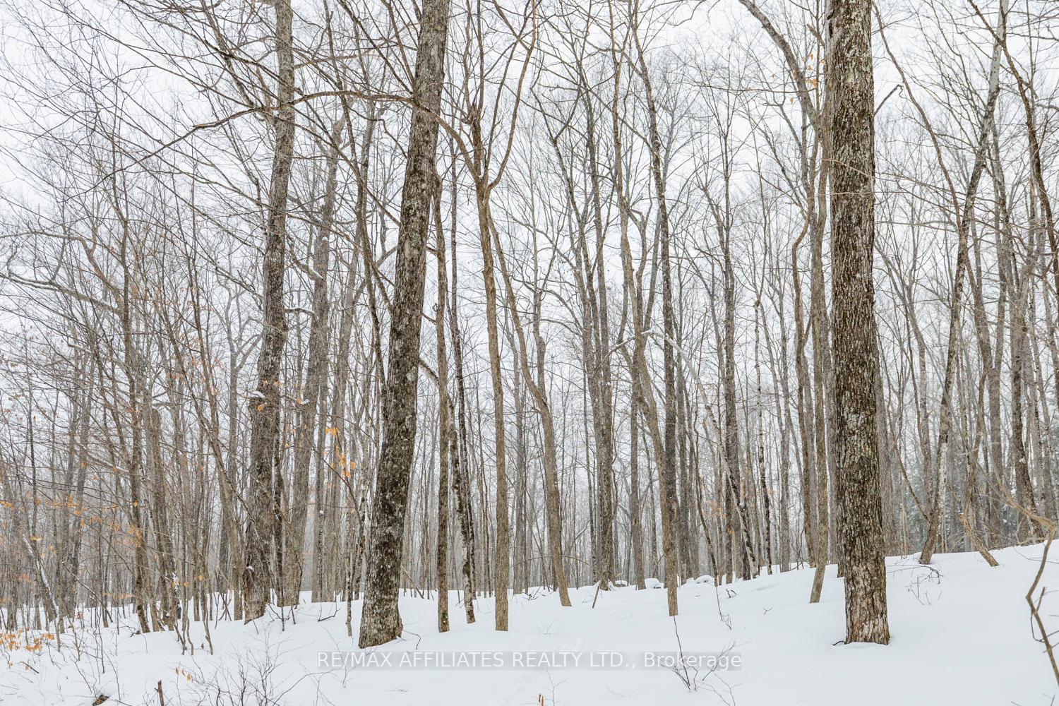 Photo 7 of Hardwood Ridge Road, Lanark Highlands, Lanark Highlands (Dalhousie) Twp — HOMEH