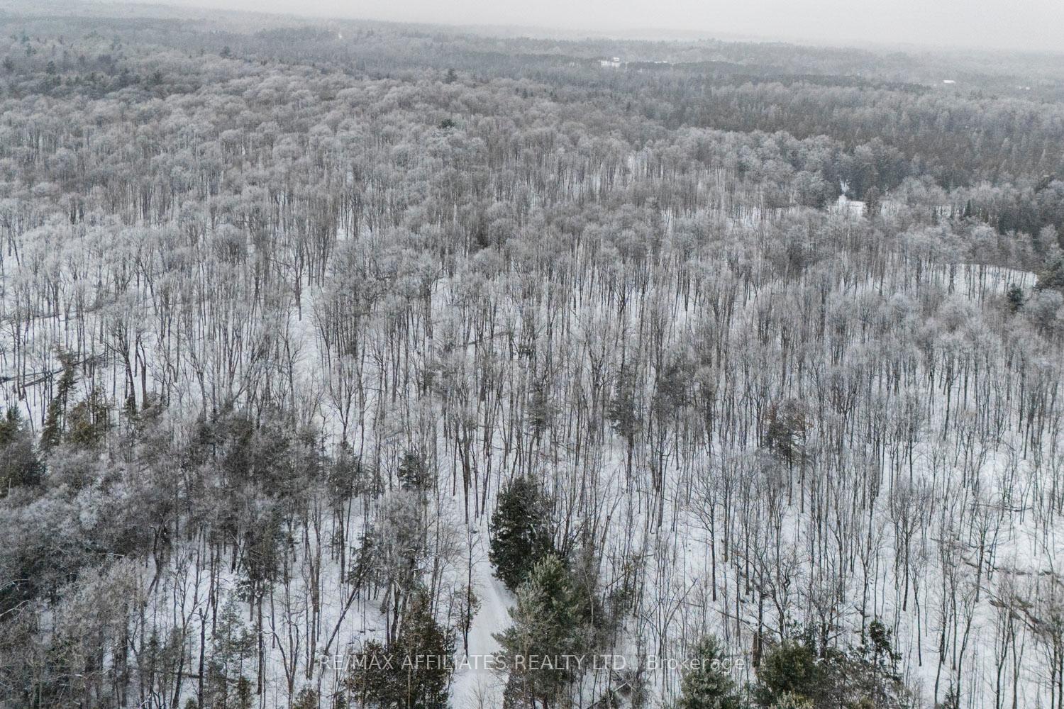 Photo 11 of Hardwood Ridge Road, Lanark Highlands, Lanark Highlands (Dalhousie) Twp — HOMEH