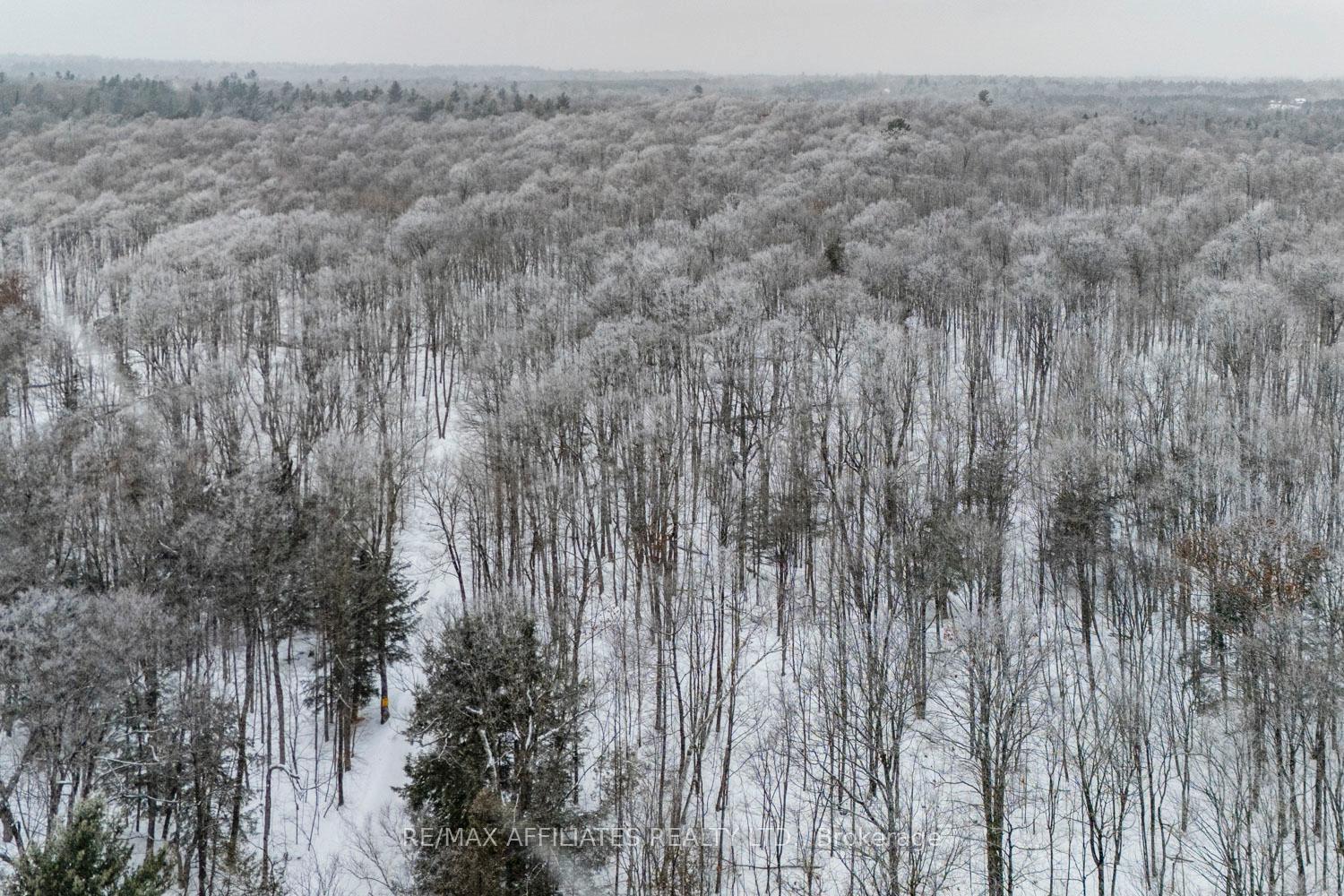 Photo 12 of Hardwood Ridge Road, Lanark Highlands, Lanark Highlands (Dalhousie) Twp — HOMEH