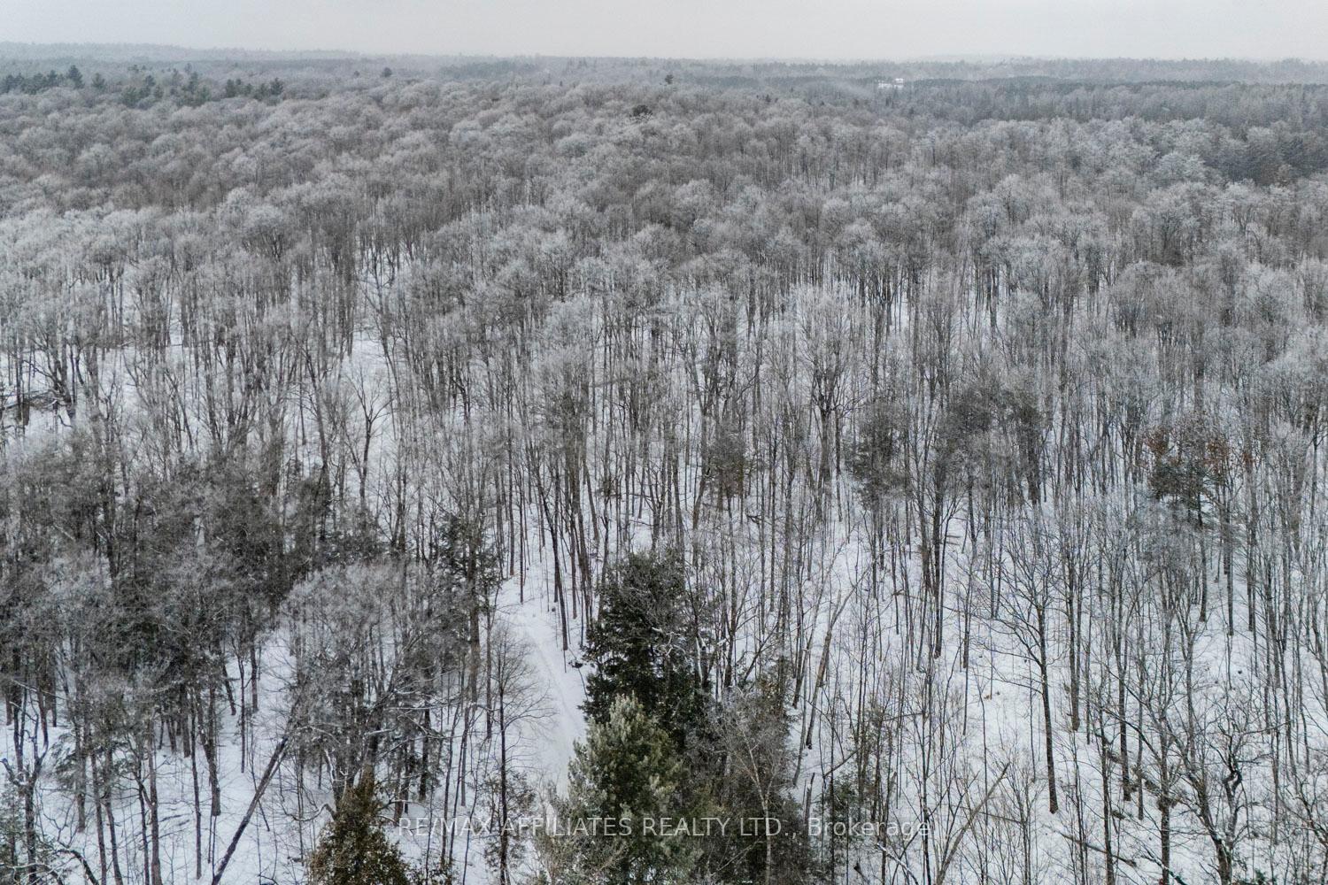 Photo 13 of Hardwood Ridge Road, Lanark Highlands, Lanark Highlands (Dalhousie) Twp — HOMEH