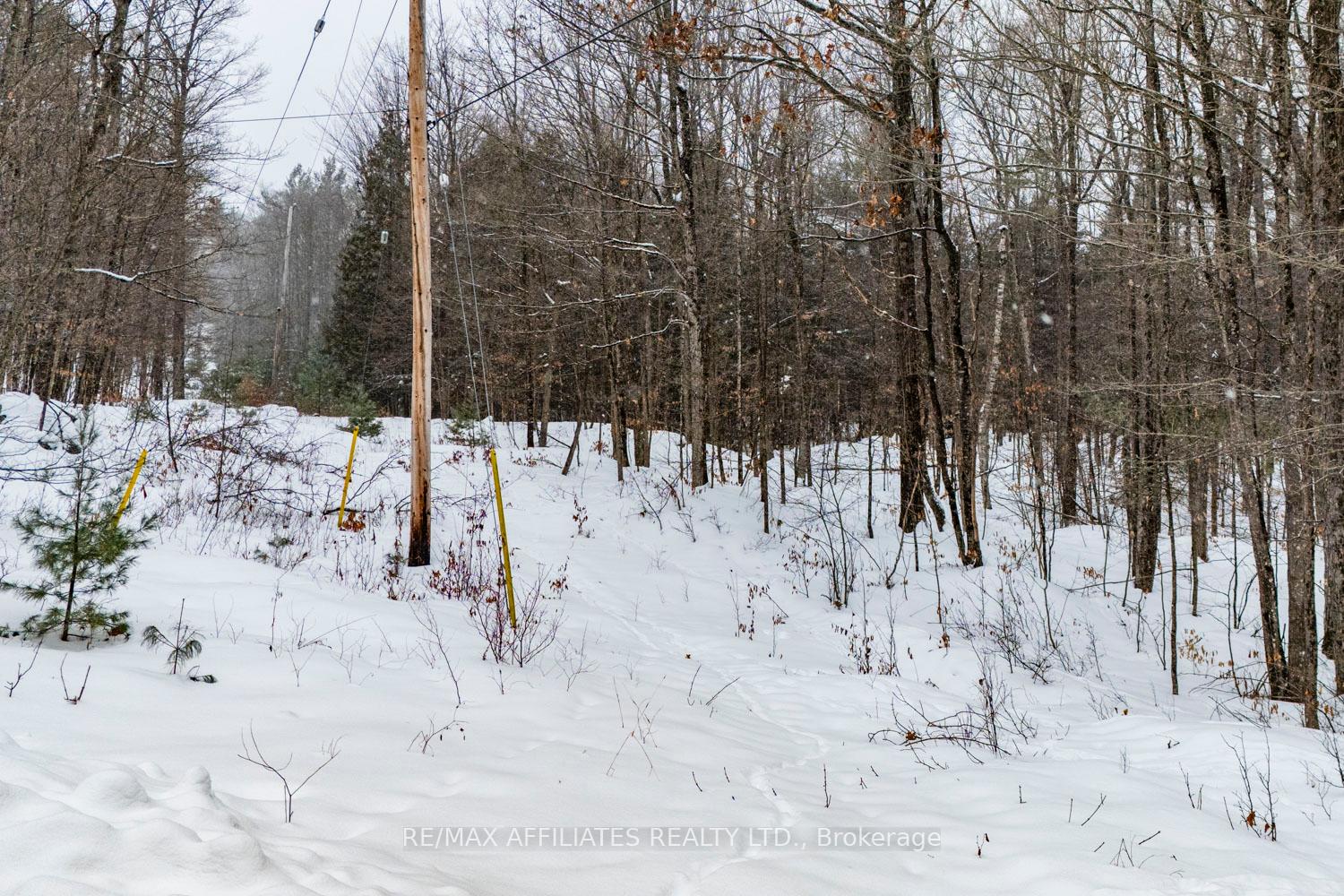 Photo 15 of Hardwood Ridge Road, Lanark Highlands, Lanark Highlands (Dalhousie) Twp — HOMEH