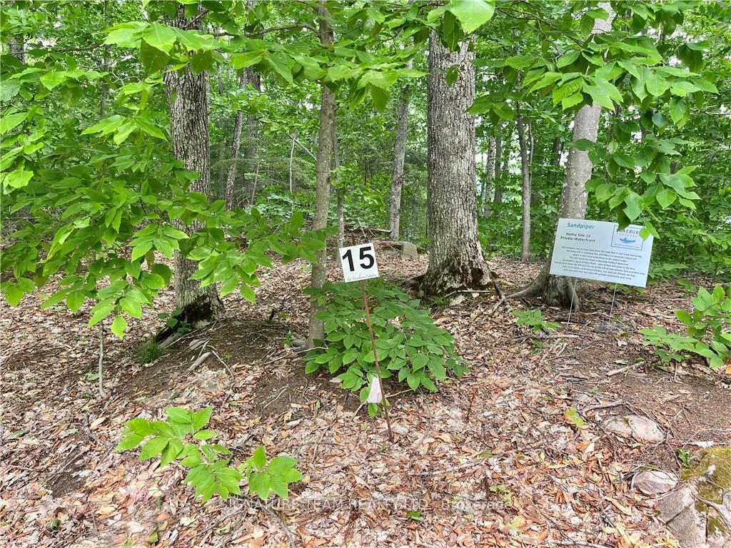 Photo 3 of 141 Shady Maple Road, McNab/Braeside, Mcnab/Braeside Twps — HOMEH