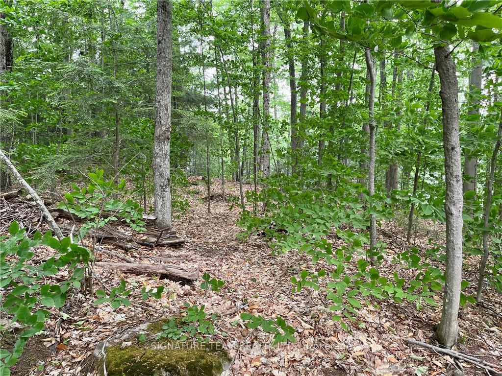 Photo 4 of 141 Shady Maple Road, McNab/Braeside, Mcnab/Braeside Twps — HOMEH