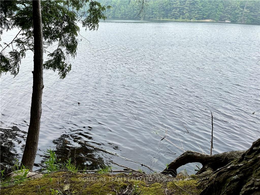 Photo 5 of 141 Shady Maple Road, McNab/Braeside, Mcnab/Braeside Twps — HOMEH