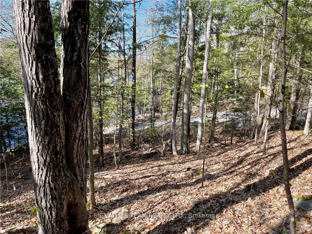 Photo 6 of 141 Shady Maple Road, McNab/Braeside, Mcnab/Braeside Twps — HOMEH