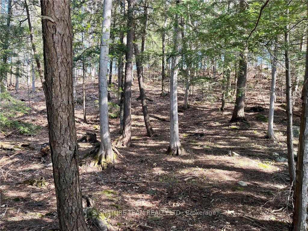 Photo 7 of 141 Shady Maple Road, McNab/Braeside, Mcnab/Braeside Twps — HOMEH