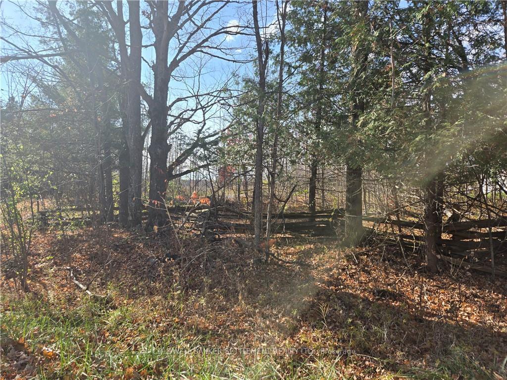Photo 3 of Dalhousie Concession 8 Road, Lanark Highlands, Lanark Highlands (Dalhousie) Twp — HOMEH