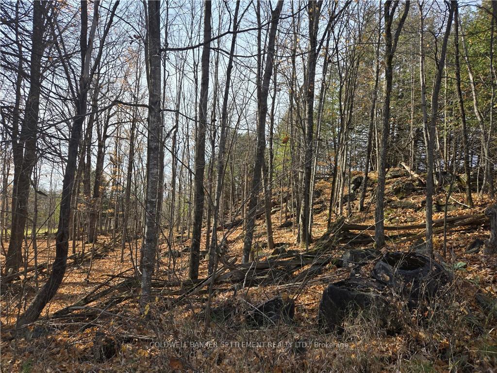 Photo 4 of Dalhousie Concession 8 Road, Lanark Highlands, Lanark Highlands (Dalhousie) Twp — HOMEH