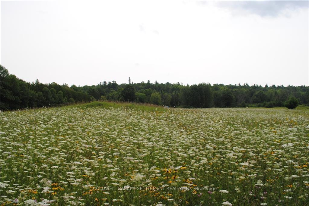 Photo 16 of 1505 Sheridan Rapids Road, Lanark Highlands, Lanark Highlands (Dalhousie) Twp — HOMEH