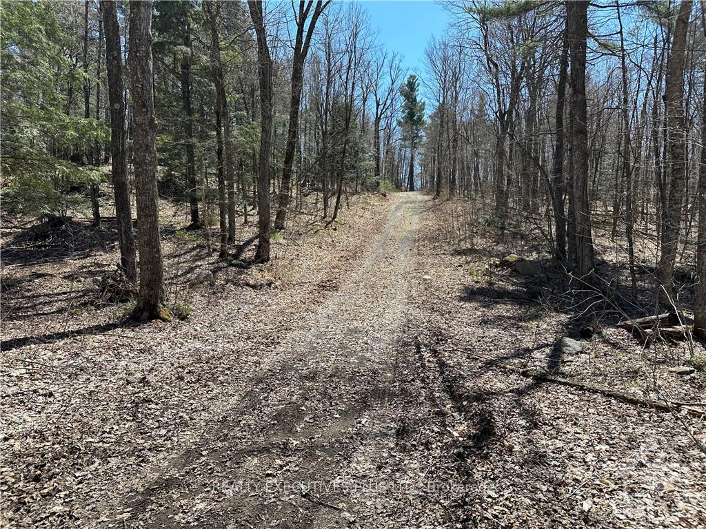 Photo 1 of PTLT 20 Dalhousie 4TH Conc B Road, Lanark Highlands, Lanark Highlands (Dalhousie) Twp — HOMEH