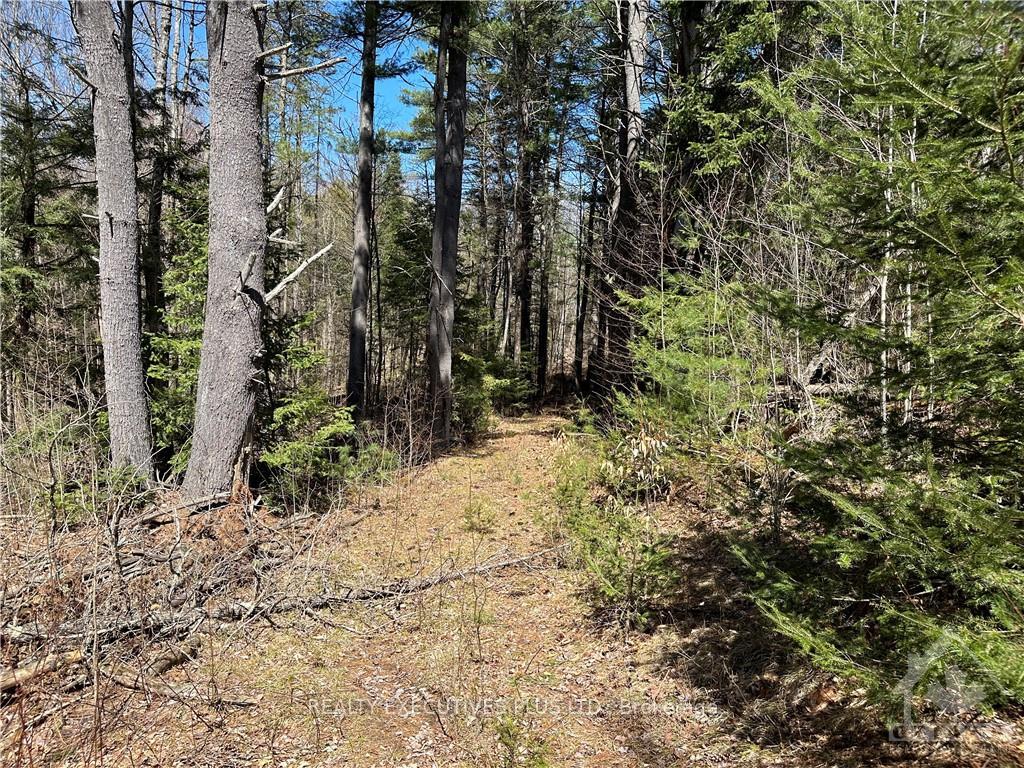 Photo 2 of PTLT 20 Dalhousie 4TH Conc B Road, Lanark Highlands, Lanark Highlands (Dalhousie) Twp — HOMEH