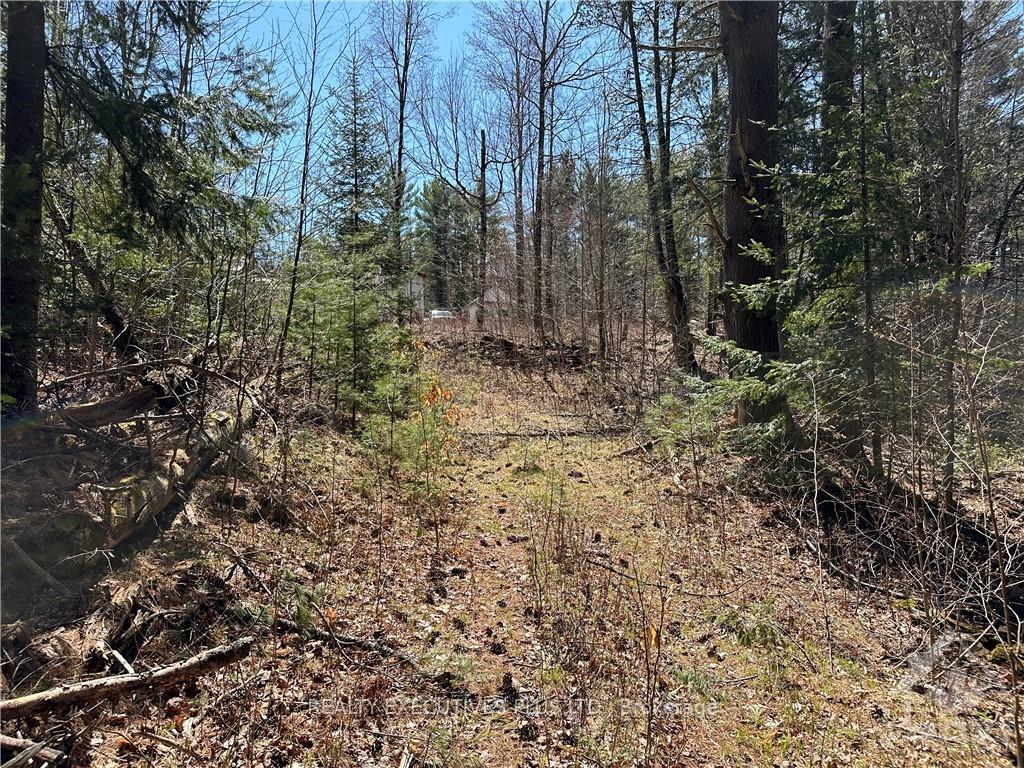 Photo 3 of PTLT 20 Dalhousie 4TH Conc B Road, Lanark Highlands, Lanark Highlands (Dalhousie) Twp — HOMEH