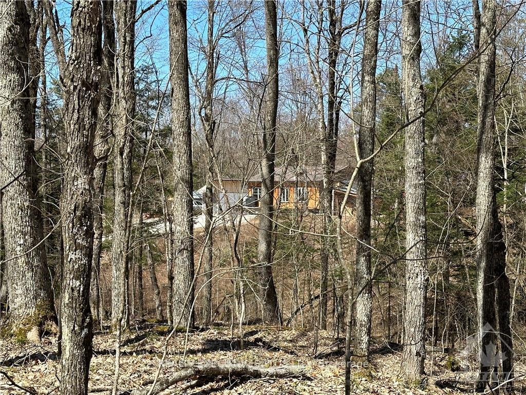 Photo 4 of PTLT 20 Dalhousie 4TH Conc B Road, Lanark Highlands, Lanark Highlands (Dalhousie) Twp — HOMEH