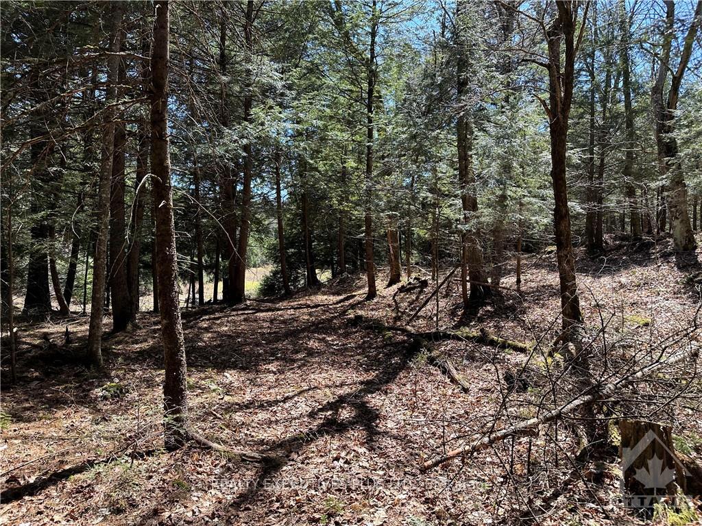 Photo 15 of PTLT 20 Dalhousie 4TH Conc B Road, Lanark Highlands, Lanark Highlands (Dalhousie) Twp — HOMEH